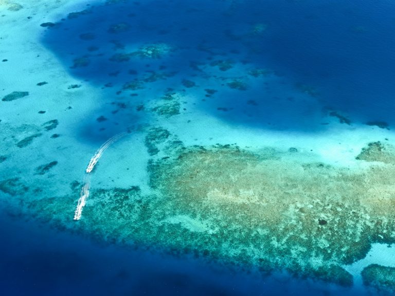 Vista aérea de la Gran Barrera de Coral con arrecifes y aguas turquesa, Queensland Australia