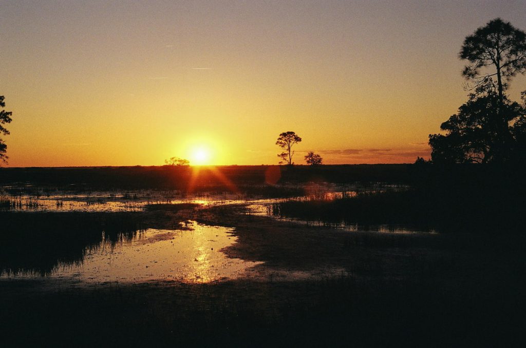 tardecer sobre los humedales del Parque Nacional Everglades, Florida