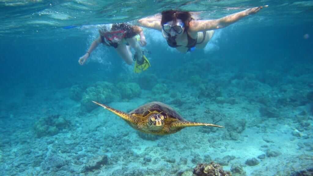 Snorkel sobre el arrecife de las Islas Galápagos, Ecuador