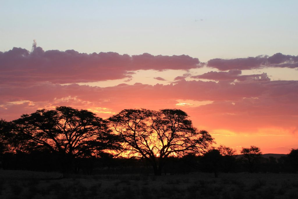 Atardecer sobre las llanuras del Serengeti con siluetas de acacias, Tanzania
