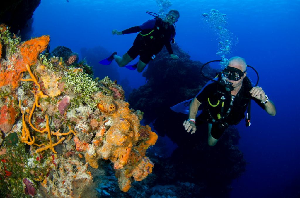 Buceador sobre el coral de colores de la Gran Barrera de Coral, Queensland Australia