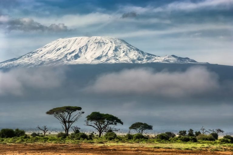 Kilimanjaro nevado al amanecer sobre la sabana africana de Tanzania