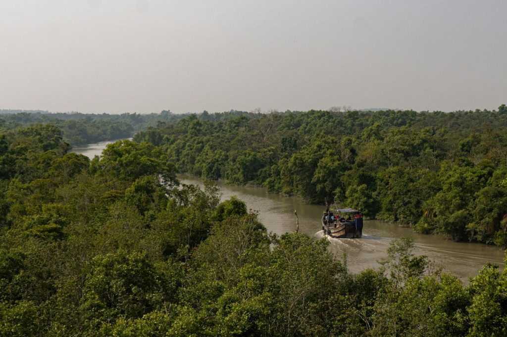 Lancha navegando por los canales del Parque Nacional de los Sundarbans al amanecer