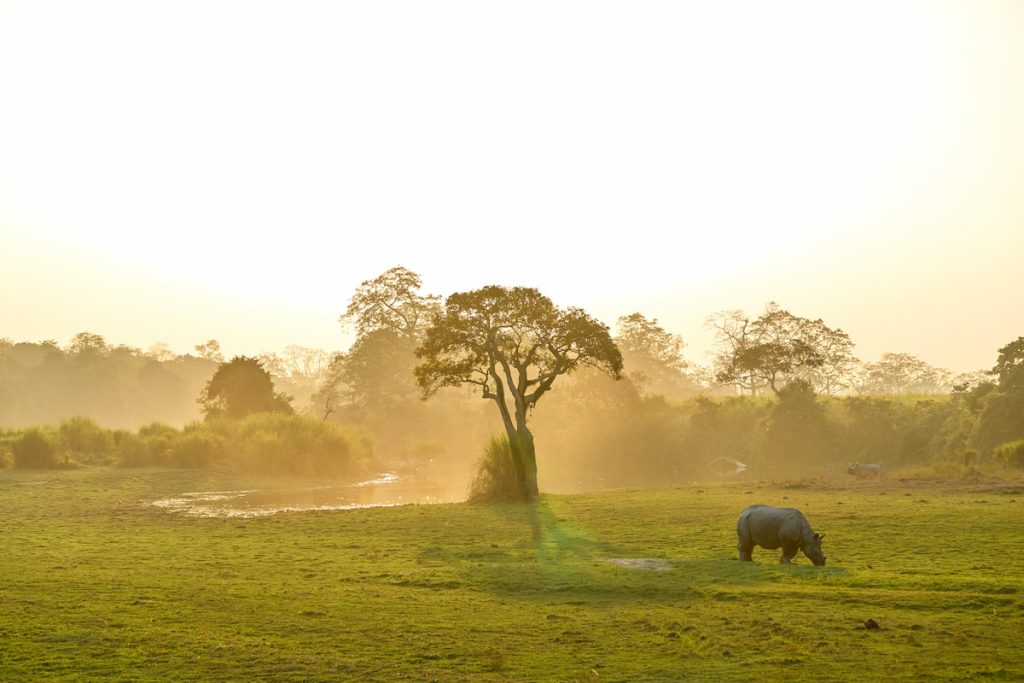 Vista panorámica de las praderas del Parque Nacional de Kaziranga con el Brahmaputra al fondo