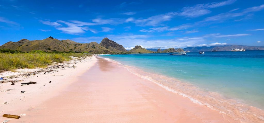 Playa de arena rosada en la isla Komodo, Parque Nacional de Komodo Indonesia