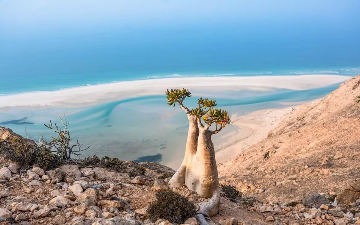 Playas de Socotra desde la altura de su paisaje árido.