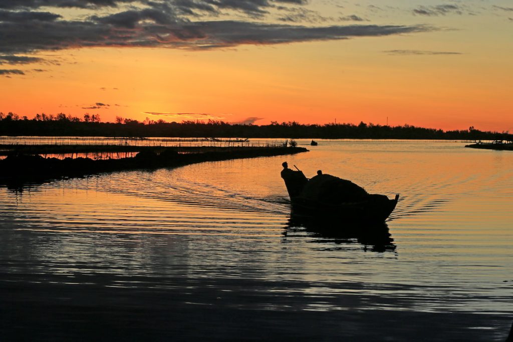Puesta de sol sobre los manglares del Parque Nacional de los Sundarbans, India